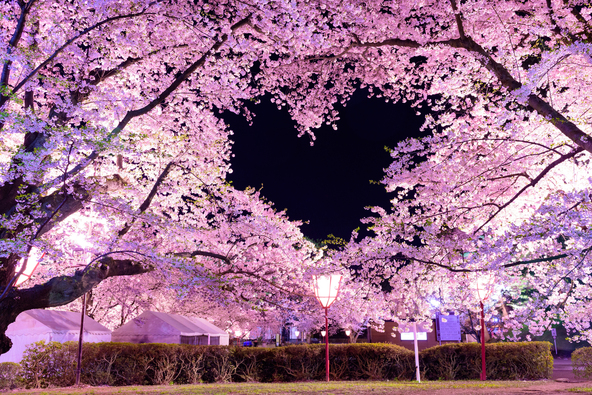 「弘前桜七景」のひとつ“桜のハート”。スポットの足元にあるハートのマークが目印です（画像提供：KENGO / PIXTA）