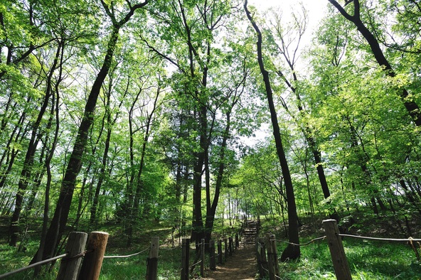 東京都初！市役所の屋上で養蜂 清瀬市のみつばちプロジェクト いこーよとりっぷ