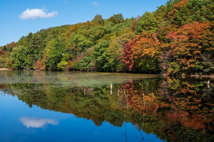 観音沼森林公園 | 福島・会津の大規模森林公園で 四季折々の絶景＆散策