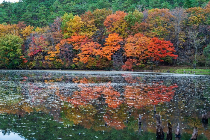 観音沼森林公園 | 福島・会津の大規模森林公園で 四季折々の絶景＆散策