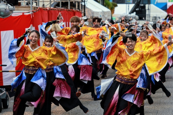東京よさこいでの演舞の様子