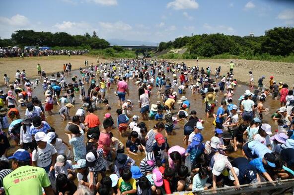 過去の「こども鮎つかみどり」の様子