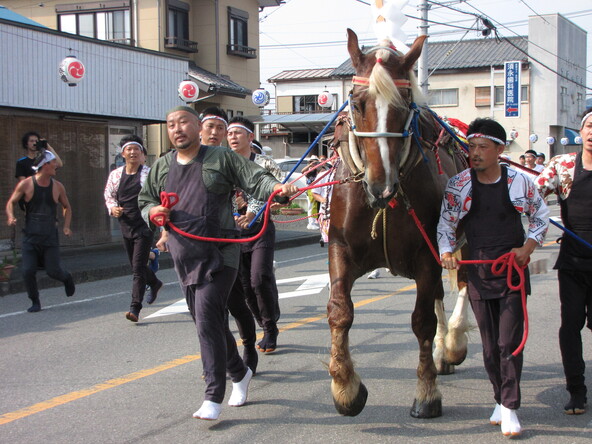 神馬の登場に子供も惹きつけられます