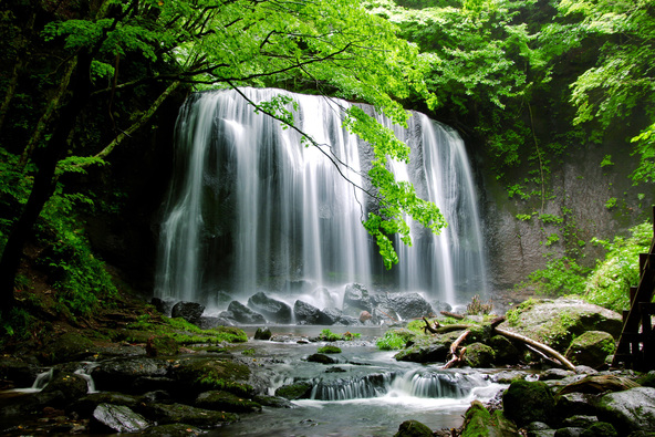 神秘的な空気が漂う滝（画像提供：TAKEZO / PIXTA）