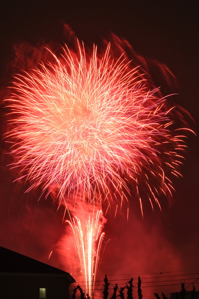 大空に打ち上がる大輪の花火に感動！