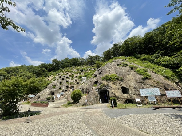 現在確認できる横穴の数は219基あります（画像提供：（一社）埼玉県物産観光協会）