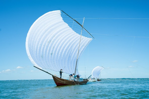 帆を広げながら運航する、まるで絵画のような風景が観賞できます