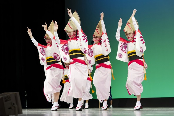 踊りは、しなやかな「女踊り」と力強い「男踊り」に分かれます