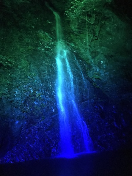 水量の安定した夏だからこそ見ることができるライトアップにママパパも感動！