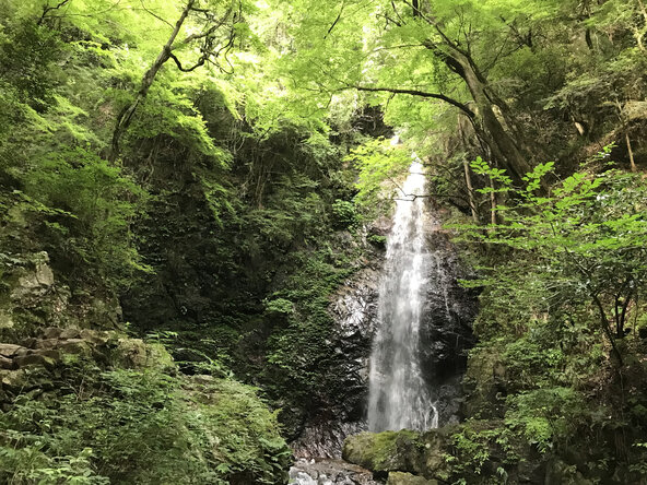 駐車場から滝まではゆるやかな傾斜の遊歩道になっており、歩きやすく散策スポットととしてもおすすめ♪