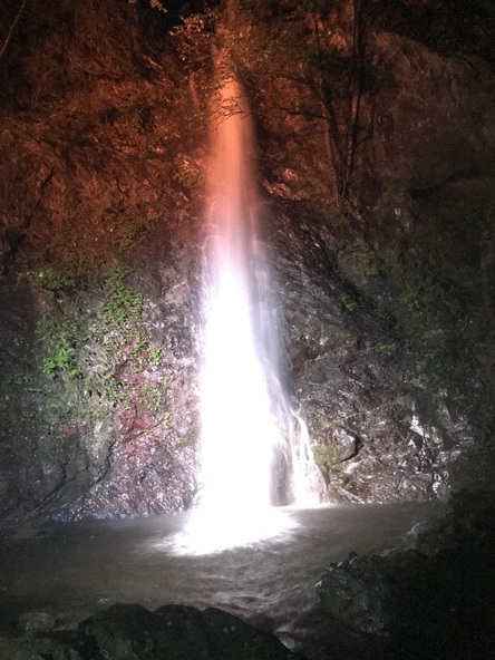 祭りでのライトアップの様子。幻想的な光景が広がります