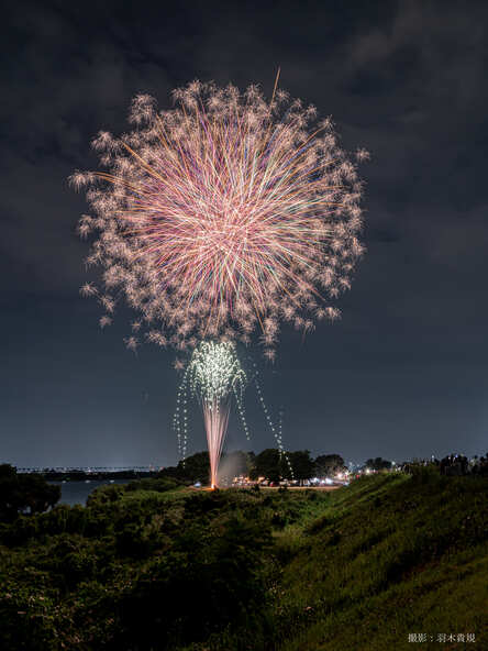 夜空に咲き誇る花火が人々の心を惹きつけます（撮影者：羽木貴規）