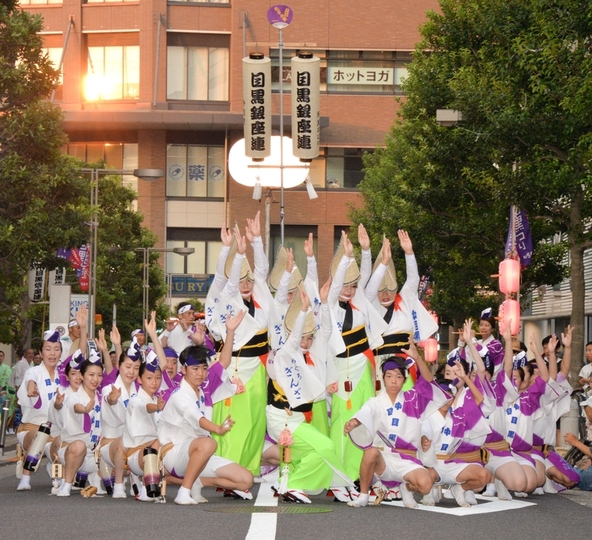 一糸乱れぬ圧巻の阿波おどりをご覧あれ