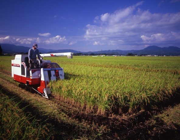 豊かな大地の恵み