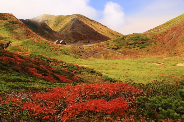 深紅に染まる秋田駒ヶ岳