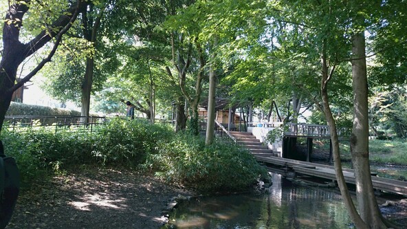 「城山公園」の様子（画像提供：国立市）