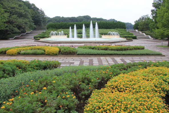 「国営武蔵丘陵森林公園」の様子（画像提供：レスベラ / PIXTA）