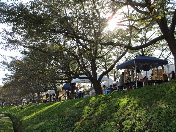 秋の桜並木に集うクラフトショップ