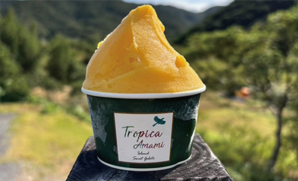 南の島のごほうびジェラート（鹿児島県奄美大島）／400円