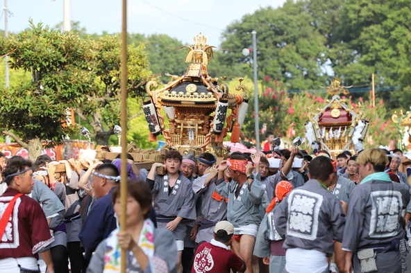 威勢がいいかけ声とともに神輿や山車が練り歩く光景はまさに圧巻！