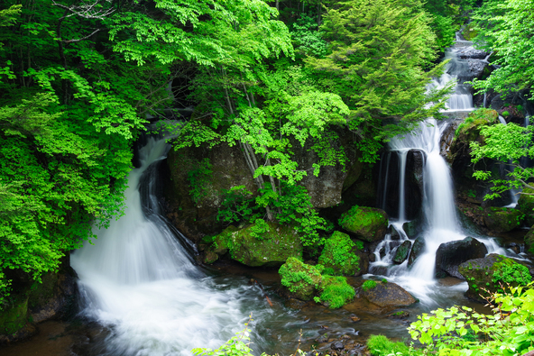 竜頭の滝（画像提供：gonbe / PIXTA）