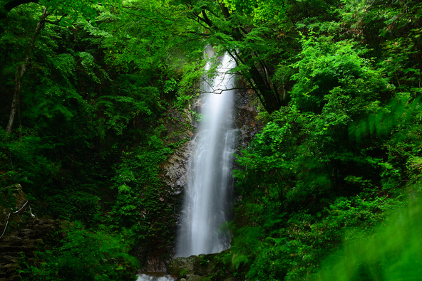 払沢の滝（画像提供：Kawa Don / PIXTA）