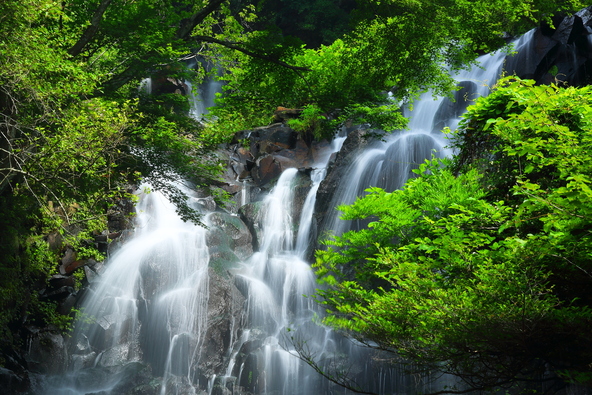 飛龍の滝（画像提供：ハッシブ2世 / PIXTA）