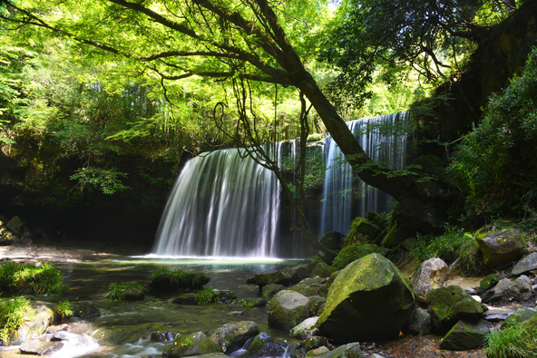 木々に囲まれた熊本県の「鍋ヶ滝公園」（画像提供：Ichi / PIXTA）