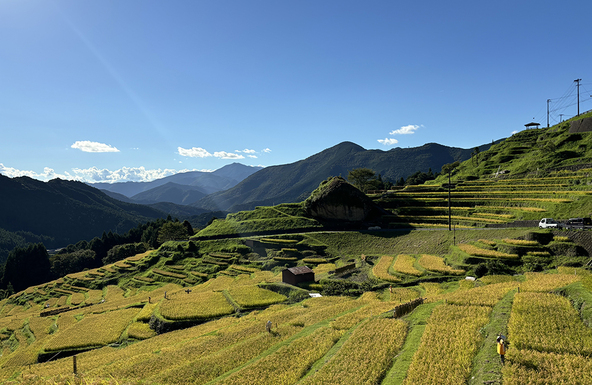 日本最大級の規模を誇る美しい棚田「丸山千枚田」