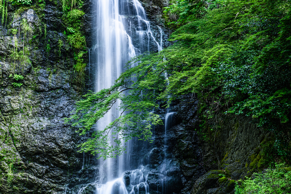 緑に囲まれた癒やしのスポット（画像提供：hiroki okumura / PIXTA）