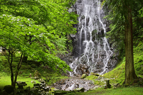 霧降りの滝（画像提供：Buuchi / PIXTA）