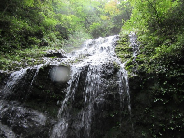 飛龍の滝（画像提供：マツキヨ / PIXTA）