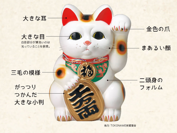 常滑系招き猫の特徴