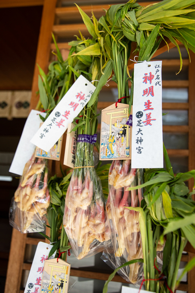 御前生姜（画像提供：芝大神宮）