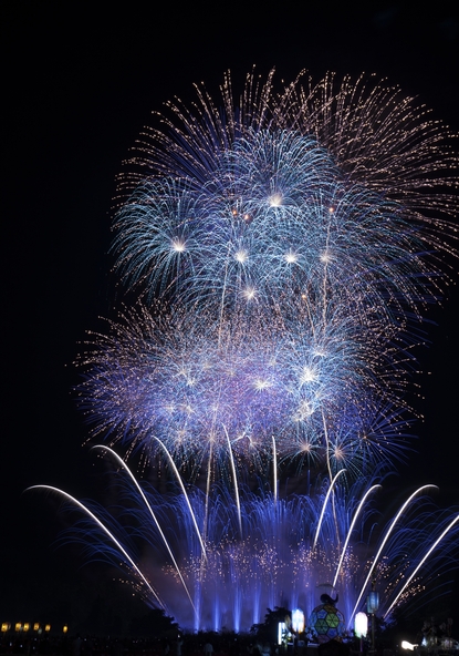 秋の夜空を彩る、光と音の競演が観客を魅了します