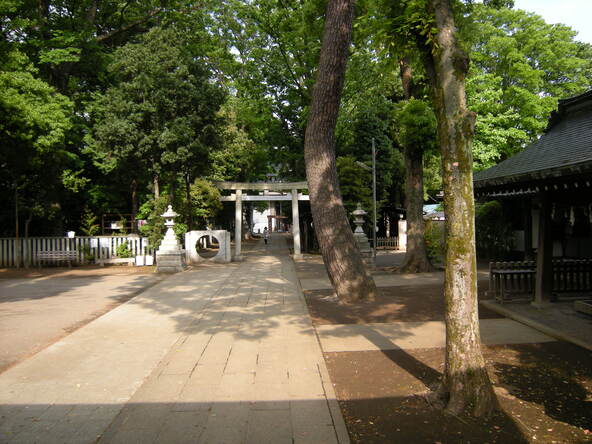 緑に囲まれた「荻窪八幡神社」の境内