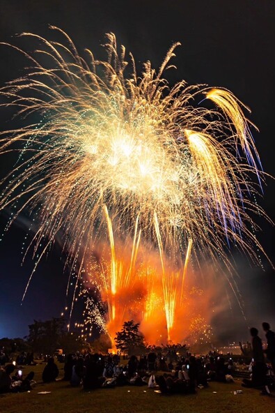 夜空を鮮やかに彩る大輪の花火に子供もうっとり♪