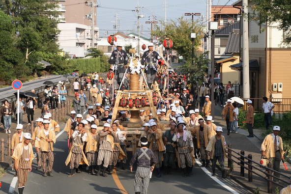 「大筒神輿」が運行されるのも田原まつりならでは！