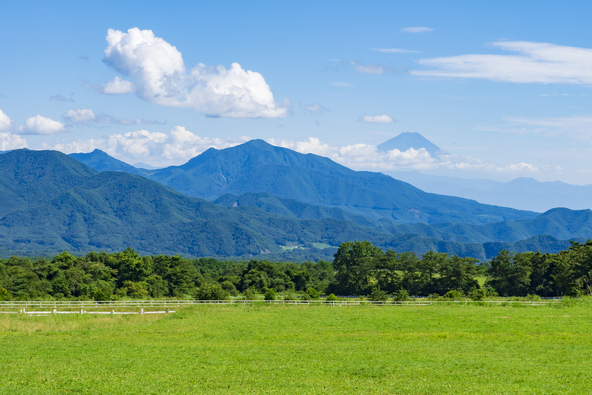 八ヶ岳と清里高原の風景（画像：k_river / PIXTA）