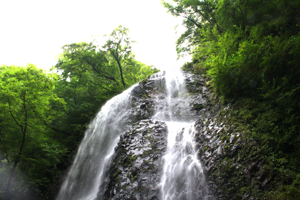 白猪の滝（画像提供：愛媛県観光物産課、愛媛県観光物産協会）