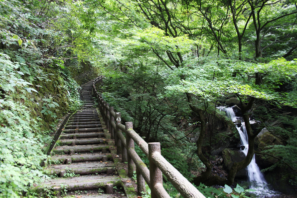 遊歩道が整備され、子供と一緒におでかけしやすい滝です（画像提供：愛媛県観光物産課、愛媛県観光物産協会）