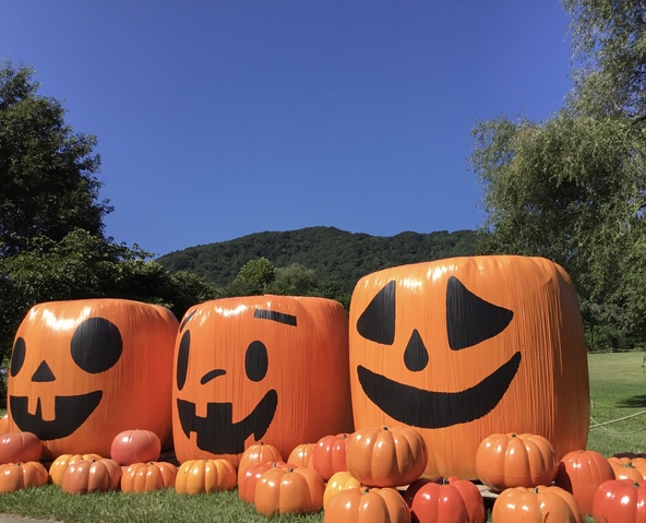 ハロウィンフェア（過去開催時の様子）