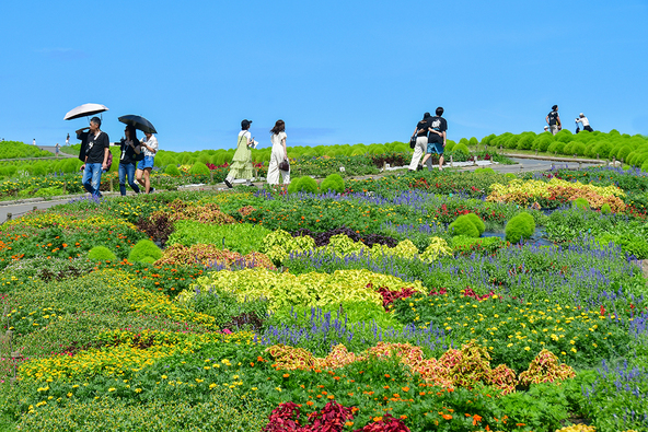 約2万本の草花が咲き誇る「ウェエルカムガーデン」