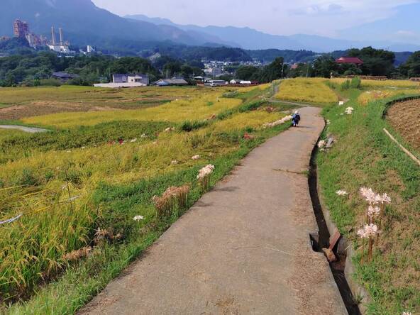  2025年9月18日の様子