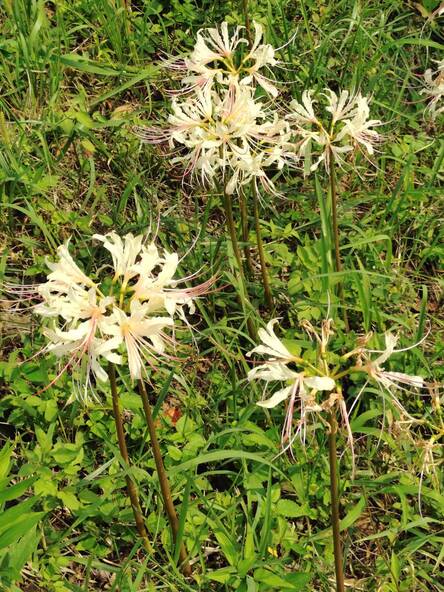  2025年9月18日の様子