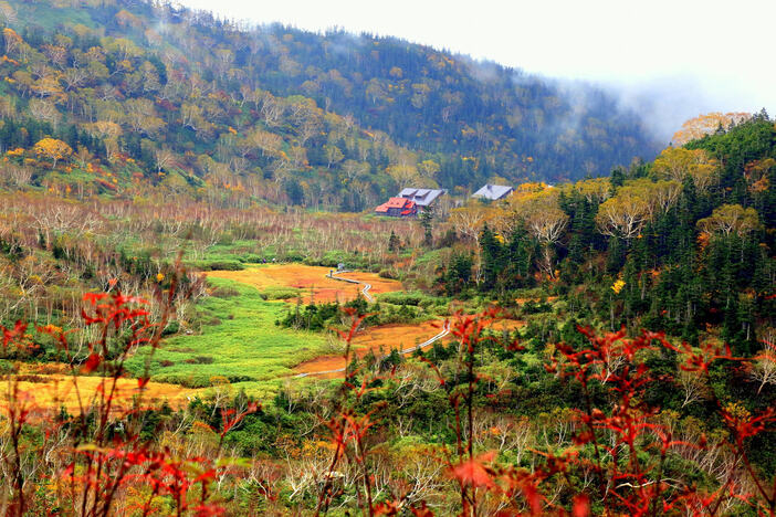 2025 栂池自然園 紅葉ウィーク | 長野県小谷村で紅葉ウィーク開催