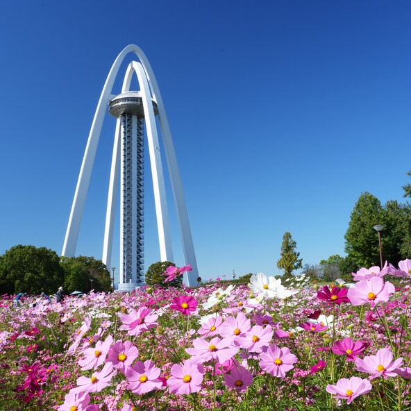 展望タワー「ツインアーチ138」の周囲には、季節の花々が咲く「花畑」があります