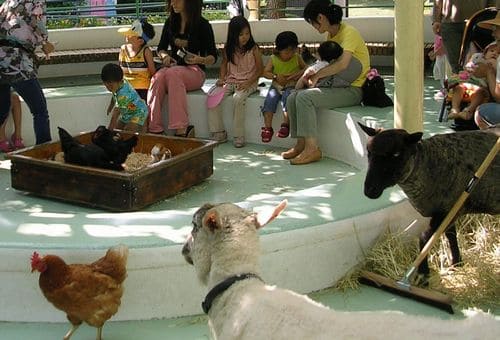 子供に人気のふれあいコーナー
