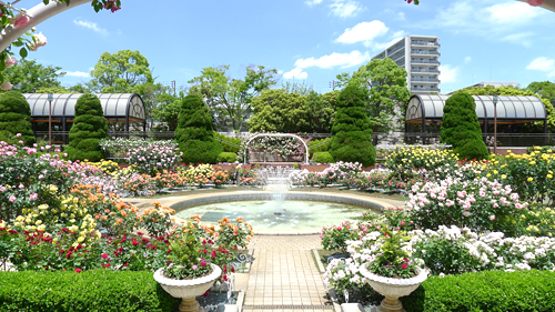 画像提供：江戸川区