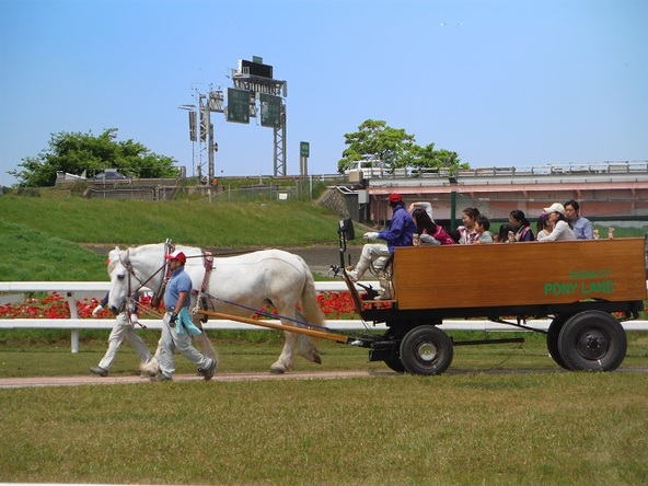 ポニーが引く大きな馬車